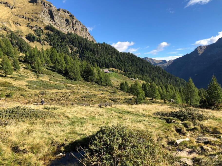 Wohnung Mit Bergblick Im Haus Sonne Райт бай Зеефелд Екстериор снимка